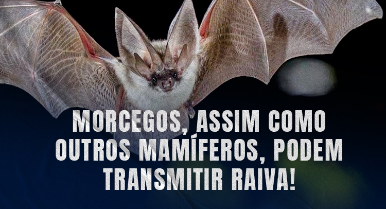 Capa da notícia